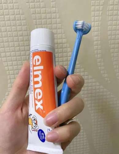 哪些人不适合使用电动牙刷?