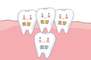 牙齿矫正后为什么会出现黑三角？